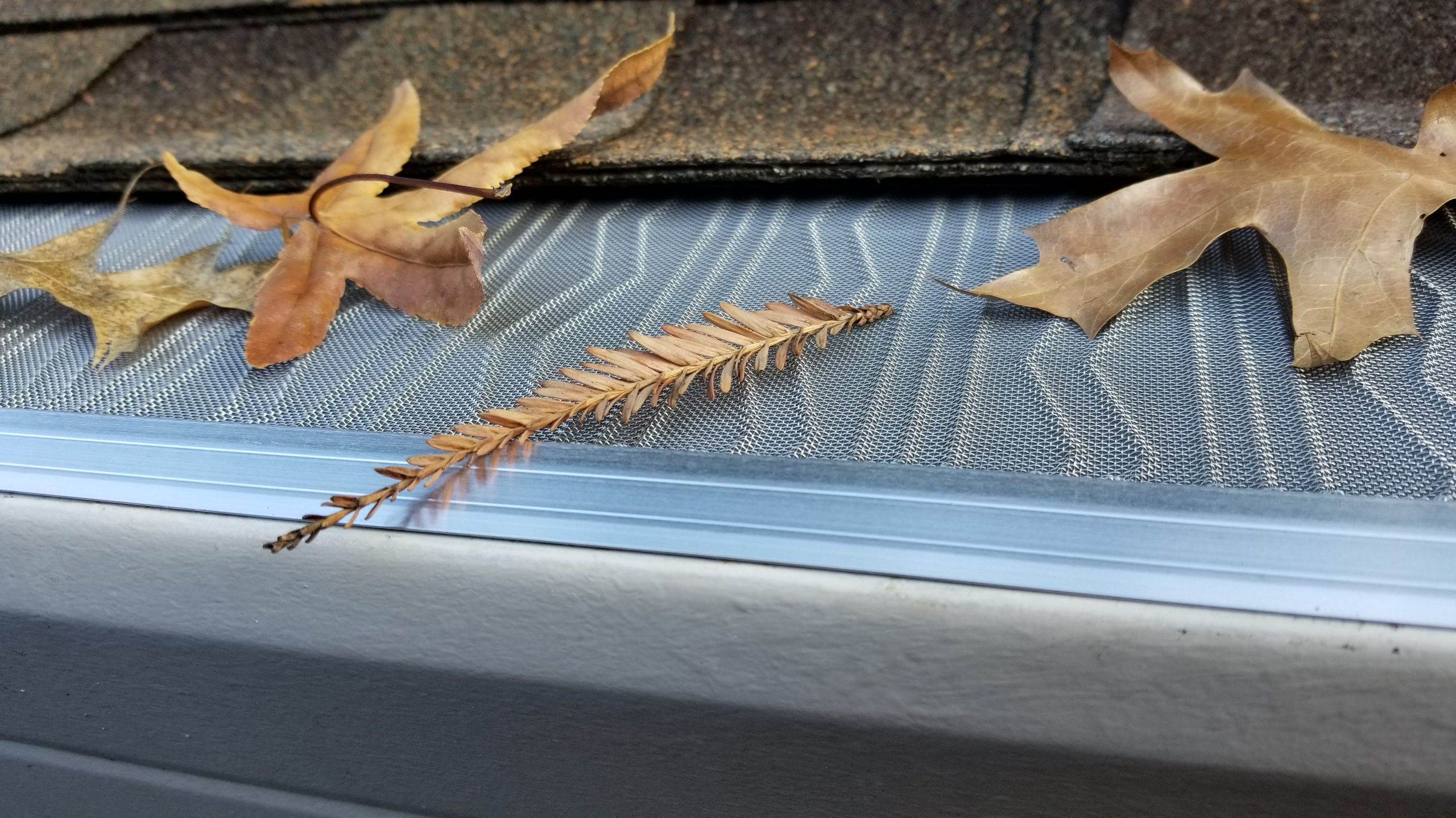 Gutter guards