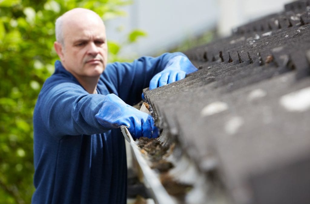 How Important is Summer Gutter Maintenance?