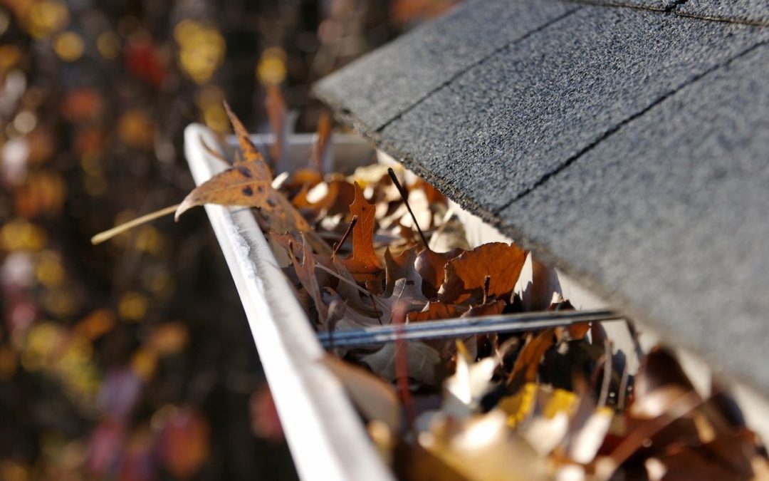 Top 5 Reasons That You Need Gutters